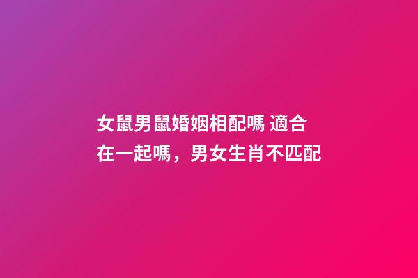 女鼠男鼠婚姻相配嗎 適合在一起嗎，男女生肖不匹配-第1張-觀點-玄機派